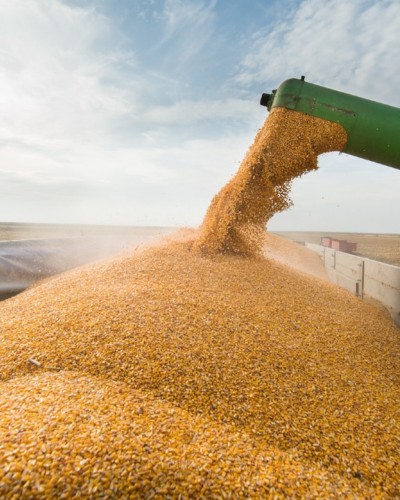 Armazenamento e Transporte de Grãos